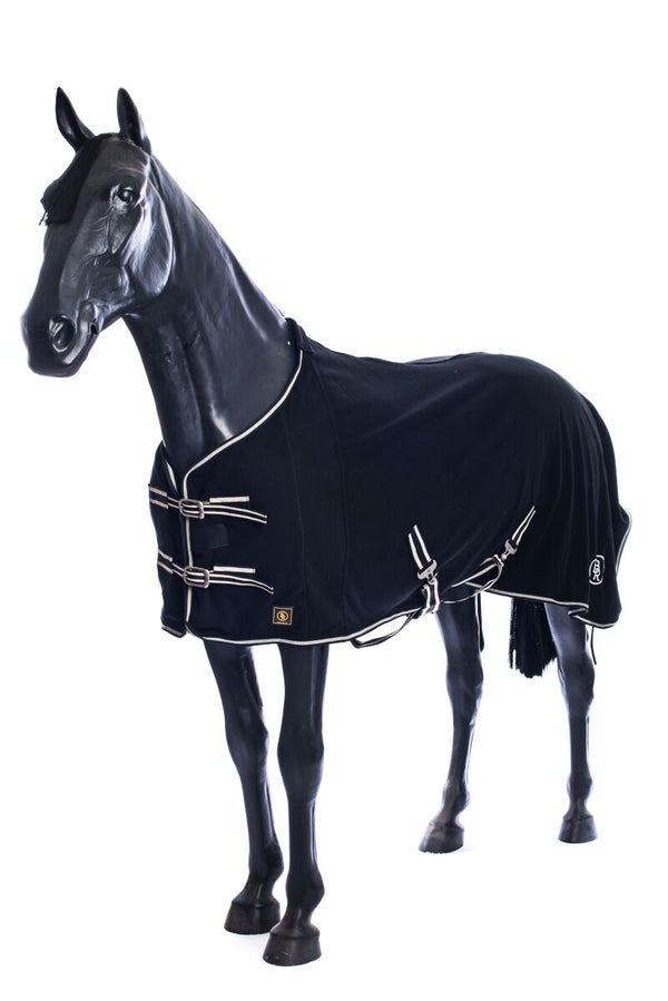 Horse - riderxoxo