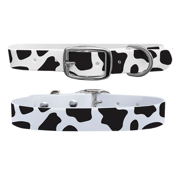C4 Dog Collar (Dairy Queen)