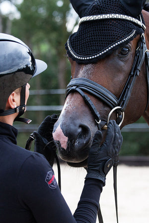 BROWBAND FAMOUS ODESSA DOUBLE CRYSTAL AB