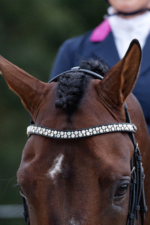 Judi Manche Browband