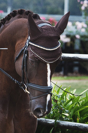 Judi Manche | Browband Famous Classic Colorado Gold