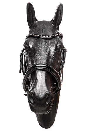 Weymouth Bridle Wendover