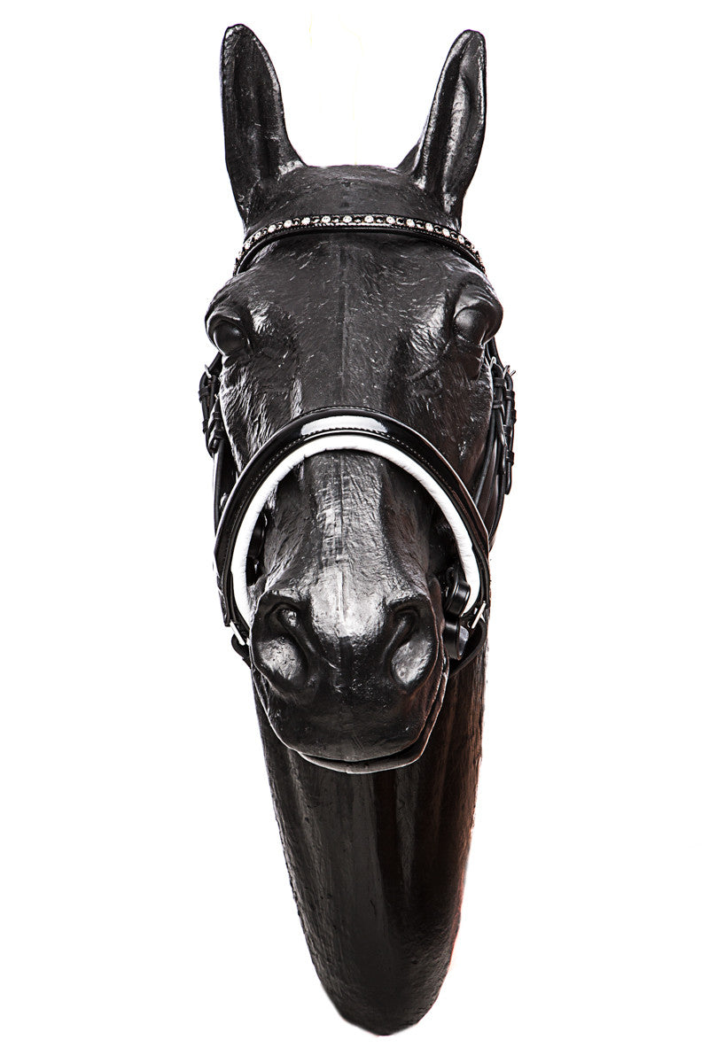 Weymouth Bridle Wendover