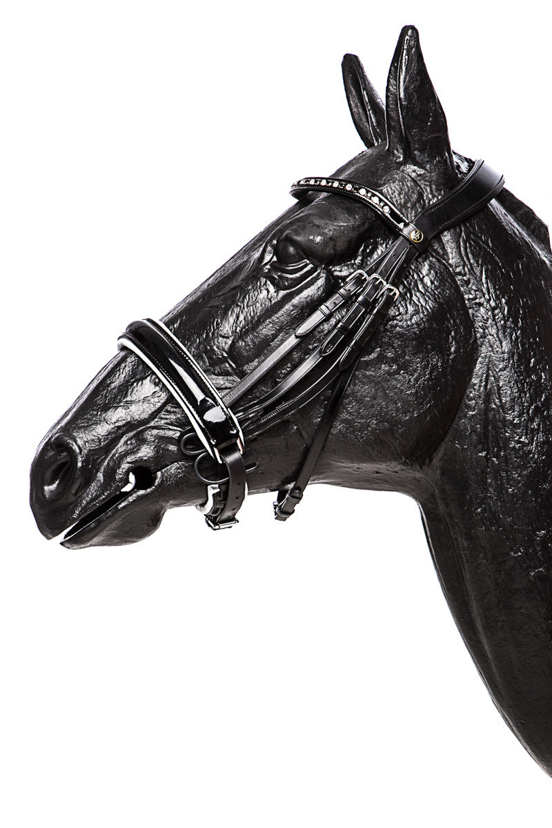 Weymouth Bridle Wendover