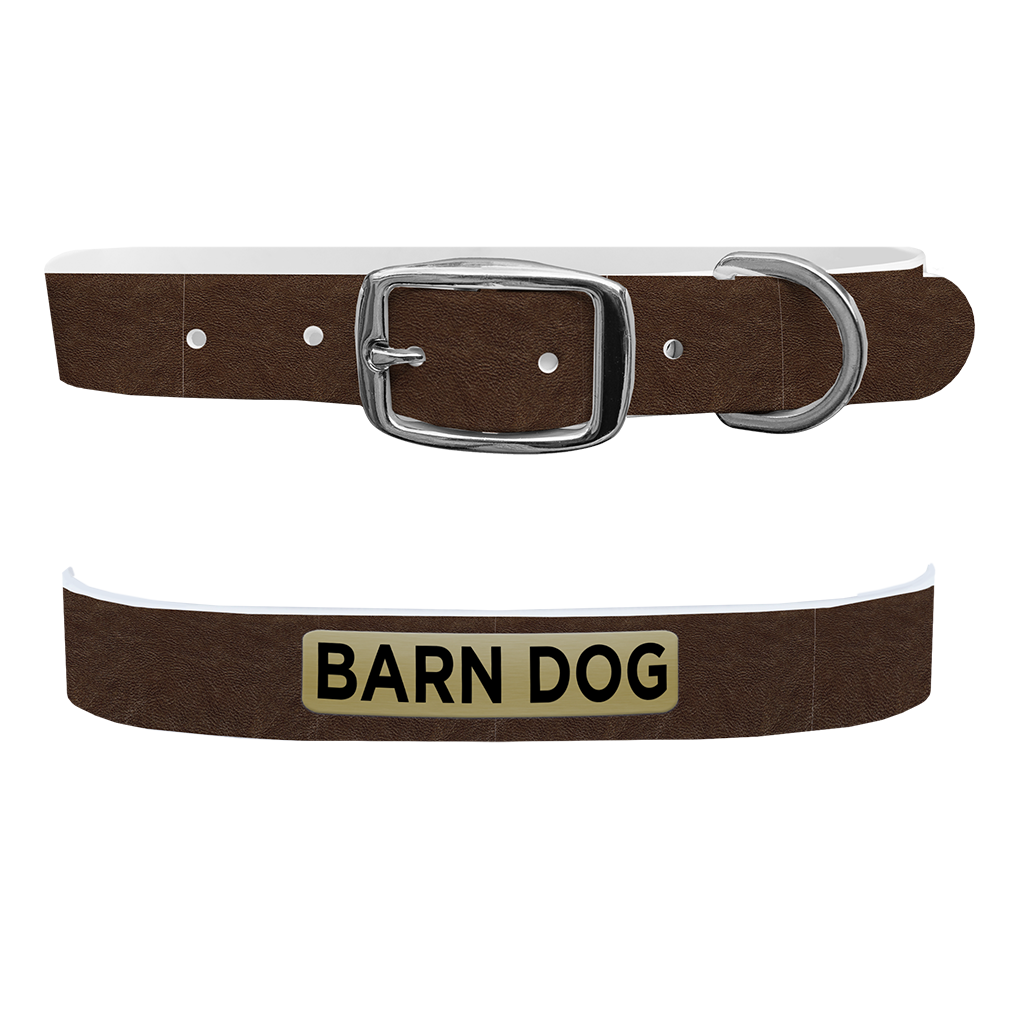 C4 dog hot sale collars