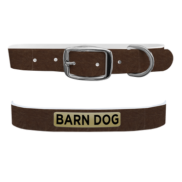 C4 Dog Collar (Barn Dog)