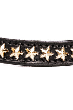 BROWBAND FAMOUS STAR CRYSTAL GOLD
