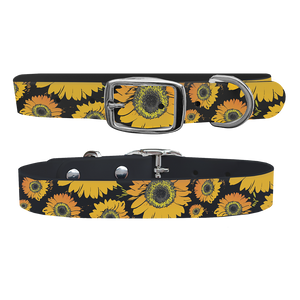 C4 Dog Collar (Sunflowers)